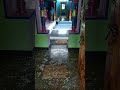 Thoti Mane Halli Mane