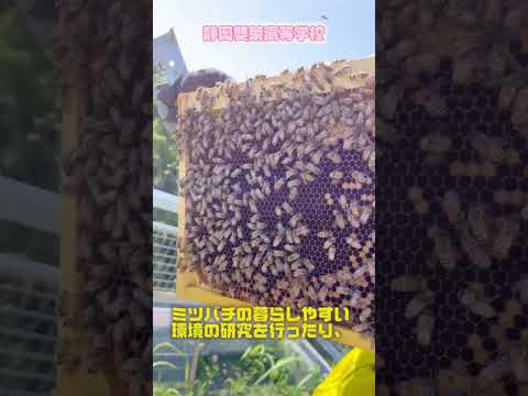 商学科 静岡雙葉高等学校ショートムービー
