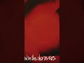 At The Gates - The Red In The Sky Is Ours - Through Gardens Of Grief