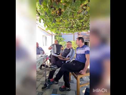 Vlashka maalska zabava