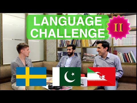 Exploiting Similarities Among Languages (Language Challenge Part II)
