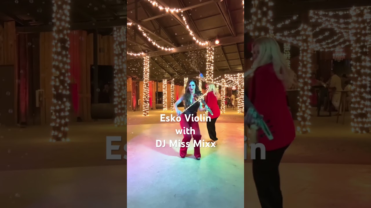 Promotional video thumbnail 3 for Selin Eskandarian Violinist