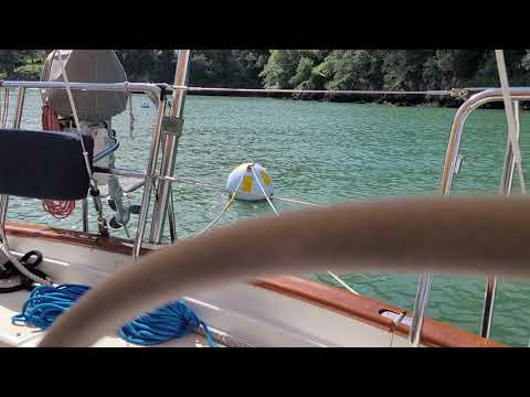 Ayala cove March 2021