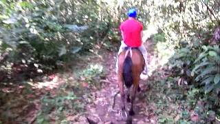 preview picture of video 'Horseback riding to Arenal volcano waterfall - Costa Rica'