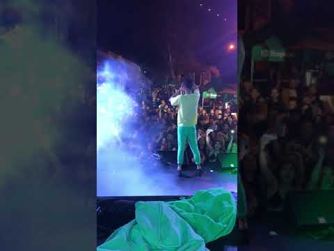 Locoplaya @ LOS ANIMALES (Bandido Secret Party G.C)