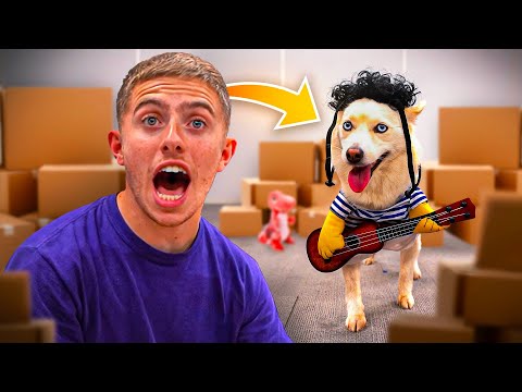 JE TESTE DES OBJETS IMPROBABLES POUR CHIEN AVEC YUKI ! (on a fait n'importe quoi mdrrr)