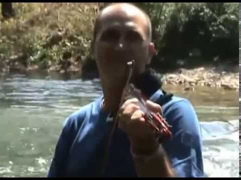 Sprecanski talasi - Nije lola osusena grana - (Official video 2010)