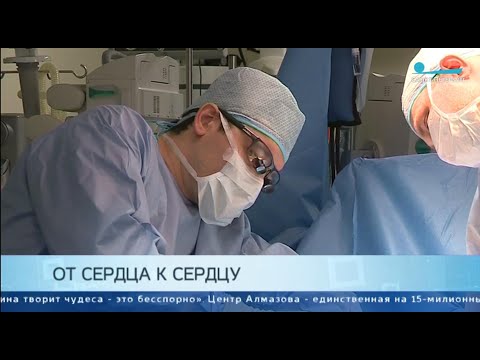 Спасительное сердце. Как работают трансплантологи Центра им. Алмазова. Телеканал Санкт-Петербург