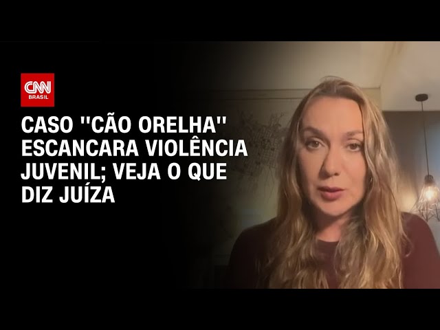 Juíza: Casos como o do cão Orelha acontecem todas as noites em casas do Brasil | AGORA CNN