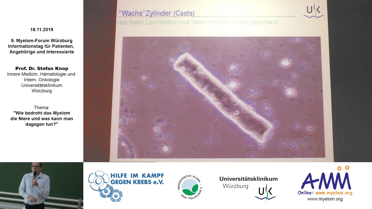 Wie bedroht das Myelom die Niere und was kann man dagegen tun?