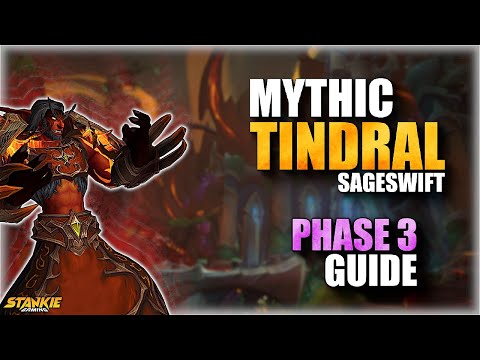 Mythic Tindral Phase 3 Guide | Dragonflight 10.2 Amirdrassil