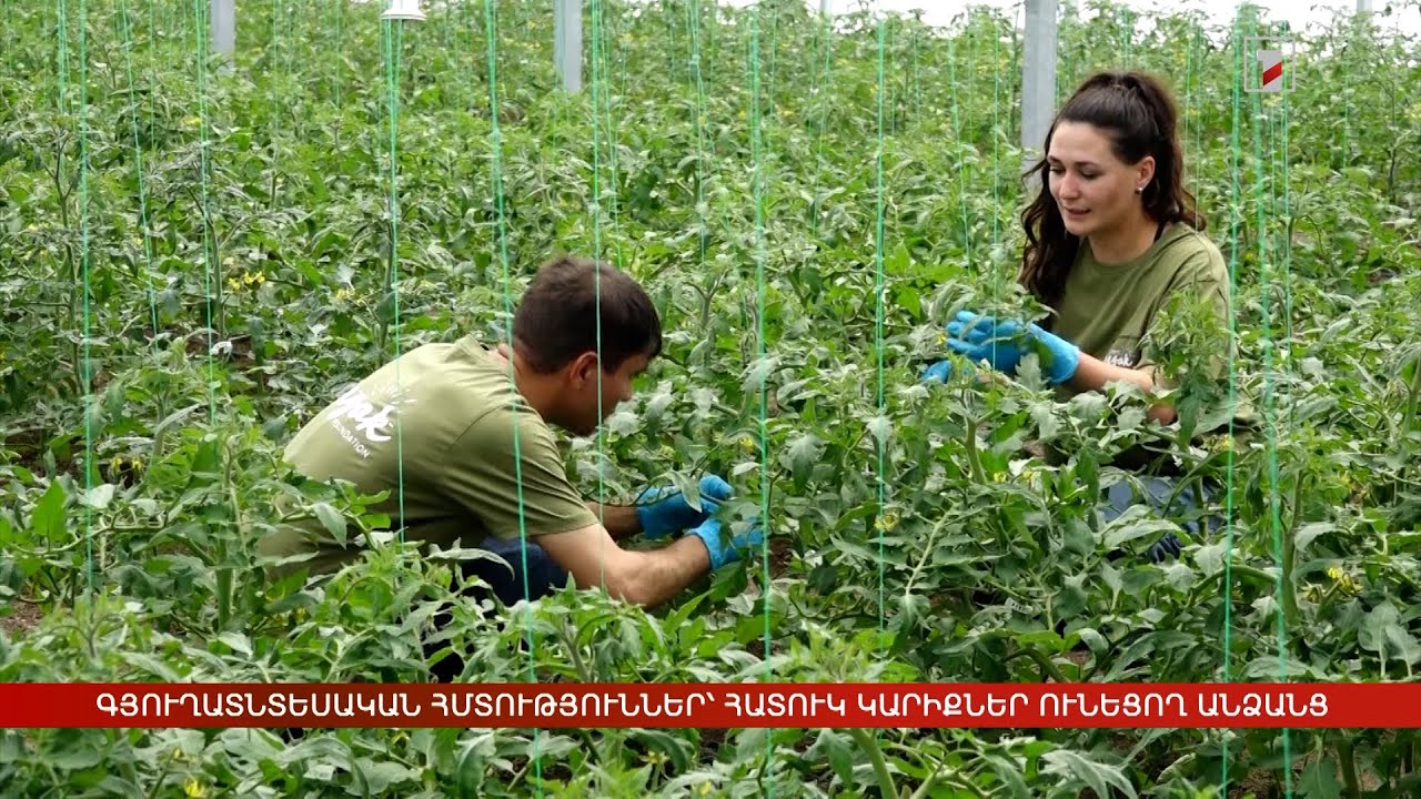 Գյուղատնտեսական հմտություններ՝ հատուկ կարիքներ ունեցող անձանց