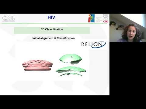 Subtomogram averaging HIV. Instruct course on cryo electron tomography. Madrid, December