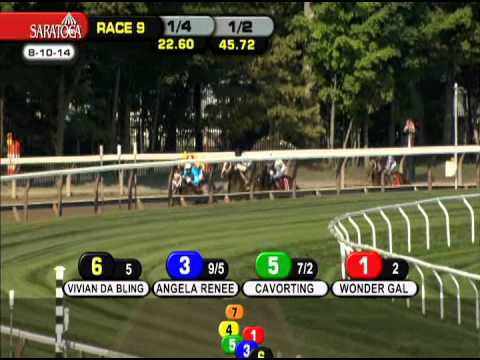 Cavorting - 2014 Adirondack S. (G2)