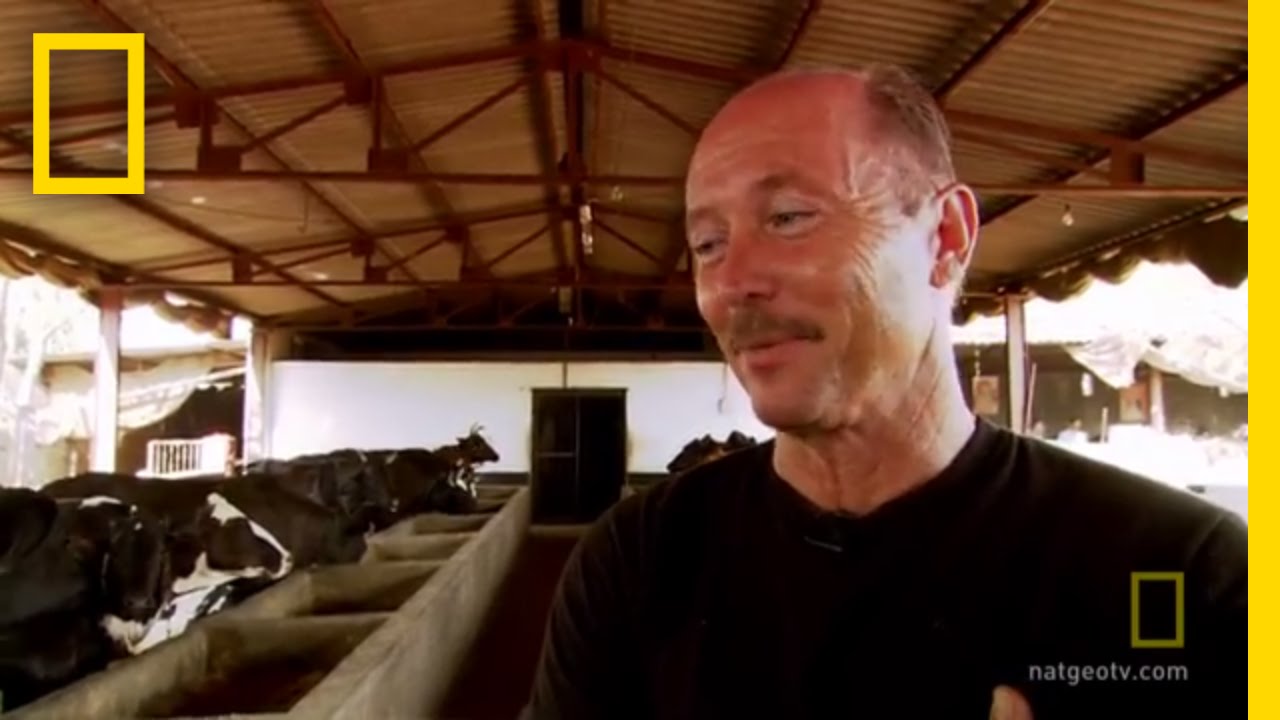 How much weight can selfdrilling plasterboards hold? Tipseri