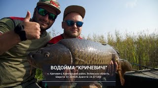 Cоревнования по Flat Feeder. Водоем Кричевичи, 7й этап. Часть 2 [IRON FISH 2018]