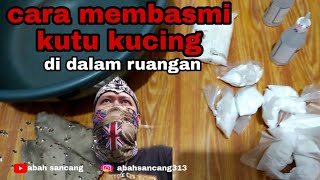 Download lagu How to get rid of cat fleas indoors #catfleas mp3