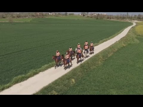 Endurance Raid Vic '17