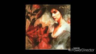 Enya Watermark Instrumental Medley