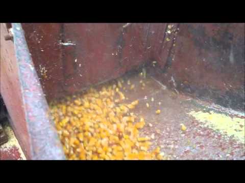 Grinding corn with a Sears Hammermill
