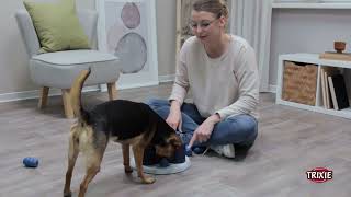 Dog Activity Flower Tower