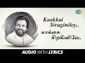 Kaakki Siraginiley With Lyrics K J Yesudas Subramania Bharati Raghuvaran HD Song Tamil