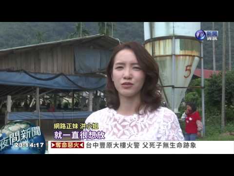 養雞界公主 Ringo甜美又酷弟也帥帥【影】