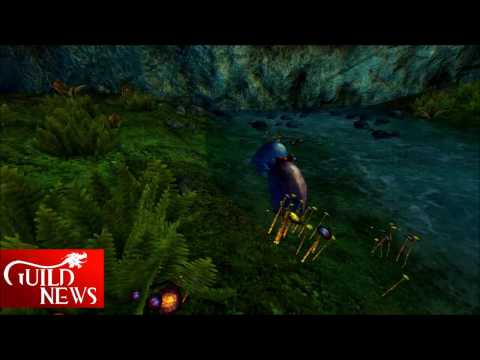 GW2 - Die 5 schönsten Orte in Tyria