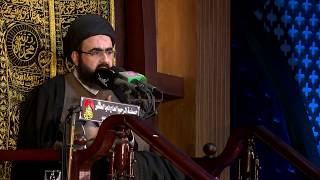 هل ينحصر دليل ولادة المهدي عليه السلام بالسيدة حكي