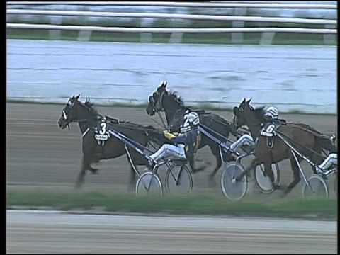 Trotto 28/02/2016 - 6° corsa