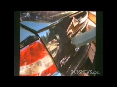 CBS News The Feed - Bear steals car