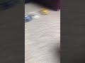 Misti Motorkrass Gets Run Over By Fireman Sam Jupiter The Fire Engine