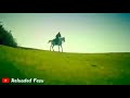 Abbas Naqi Noha Abbas Alamdar Dirlisertugrul