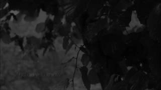 Savatage - Summer's Rain (Lyrics)