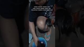 Download lagu 🛑Story WA ayam petarung‼️ #ayam #blackbull #storywa mp3