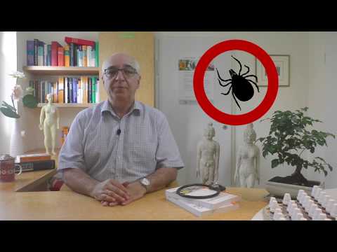 Ein Zeckenstich - nur keine Panik