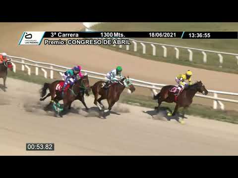 210618 c03 - NAPOLEON BONAPARTE - HIPODROMO LAS PIEDRAS