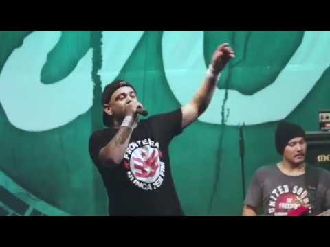 Meu lugar video