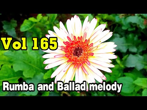Beautiful melodies about life, people and nature, Rumba and ballad instrumental music, vol 165
