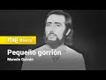 Manolo Galván - "Pequeño gorrión" (1974) HD