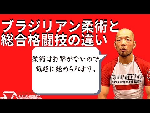 柔術は打撃はある？総合格闘技と何が違う？