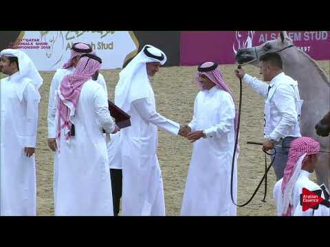 35 - FAHAR AL SHAQAB
