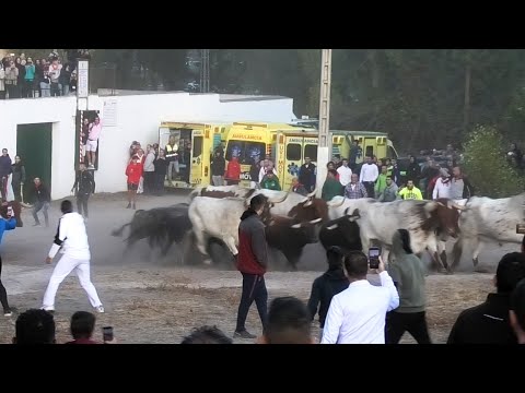 Cuéllar 2023 Tercer Encierro