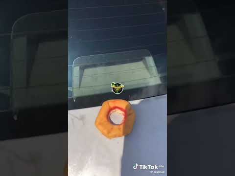 SOMEWHERE IN JAMAICA🇯🇲