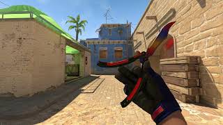 Butterfly Marble Fade FN + Gloves Fade FN