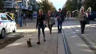 Sofia, Bulgaria - September 2014 - Tamara & Daryl's Vacation
