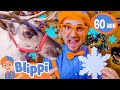 Blippi S Snowflake Scavenger Hunt Best Blippi Christmas Videos Educational Fun For Kids