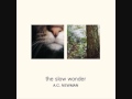 Song of the Day 11-23-09: Secretarial by A.C. Newman
