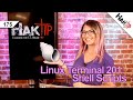 How to Write a Shell Script: Linux Terminal 201 - HakTip 175