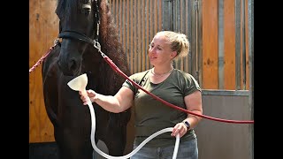 Nano CellCare therapeut Sandy Jansen Paardenosteopathie